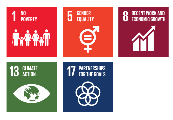 SDGs