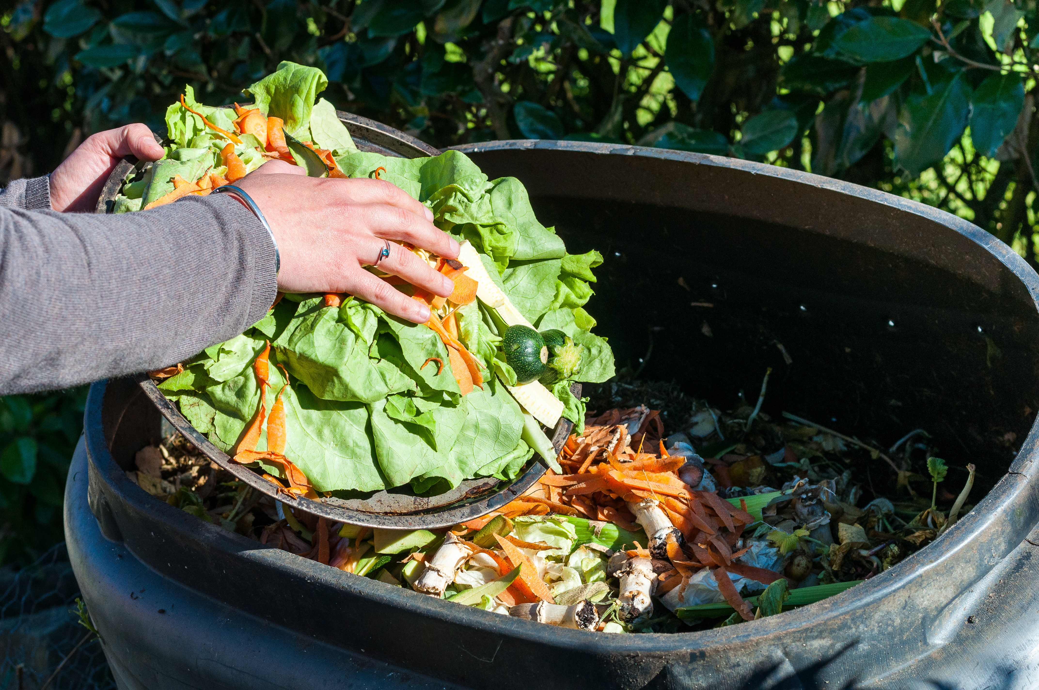 Viewpoint_environment-group-composting-food-waste